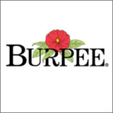 Burpee logo