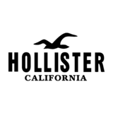 Hollister logo