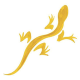 Chaco logo