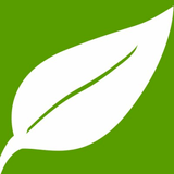 Natural Healthy Concepts logo