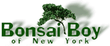 Bonsai Boy of New York logo