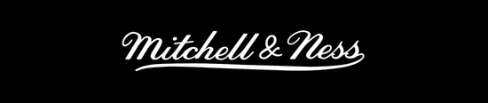 mitchellandness logo