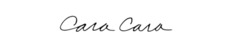 caracaranyc logo