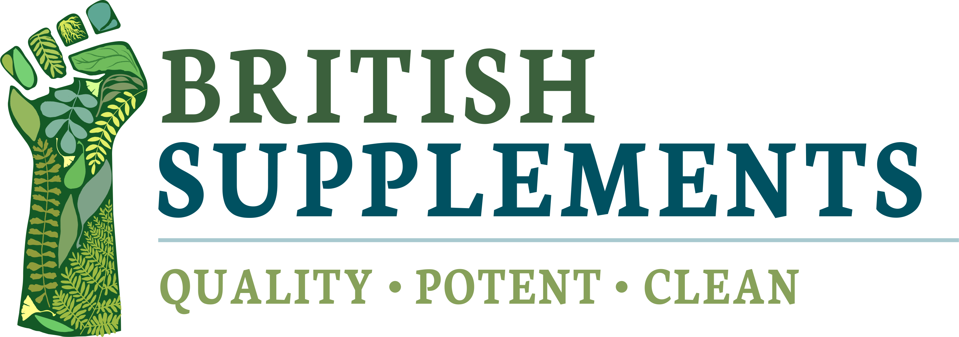 british-supplements.net logo